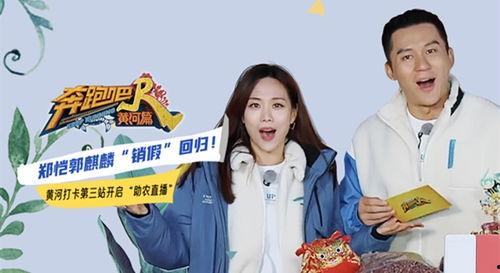 奔跑吧直播在线观看,精彩瞬间实时呈现，不容错过！